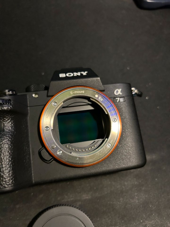 Sony A 7 iii in Hattingen