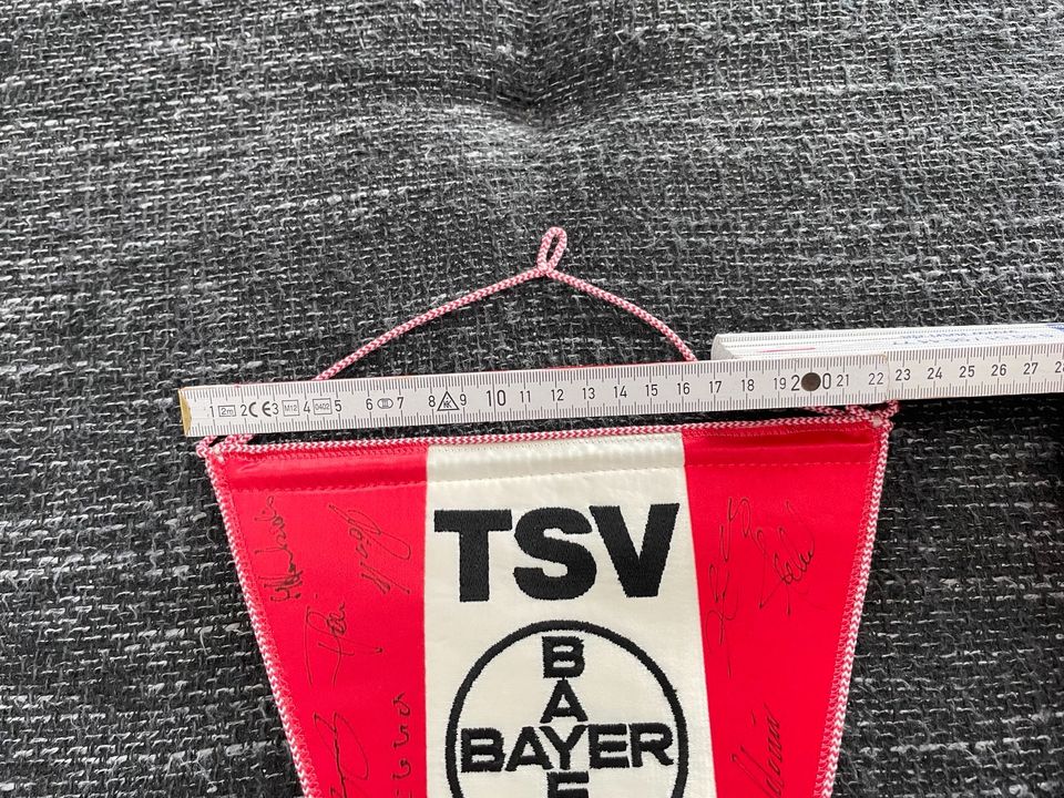 Bayer 04 Leverkusen- Wimpel mit Autogrammen (Ultras, Fans) in Hildesheim