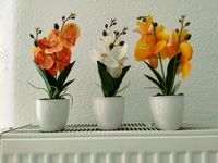 Orchideen Set Kunstblumen Sachsen - Pirna Vorschau