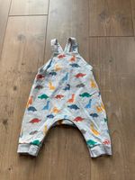 H&M Strampler Babyhose Hose Latzhose Dinos 62 Bayern - Leinburg Vorschau