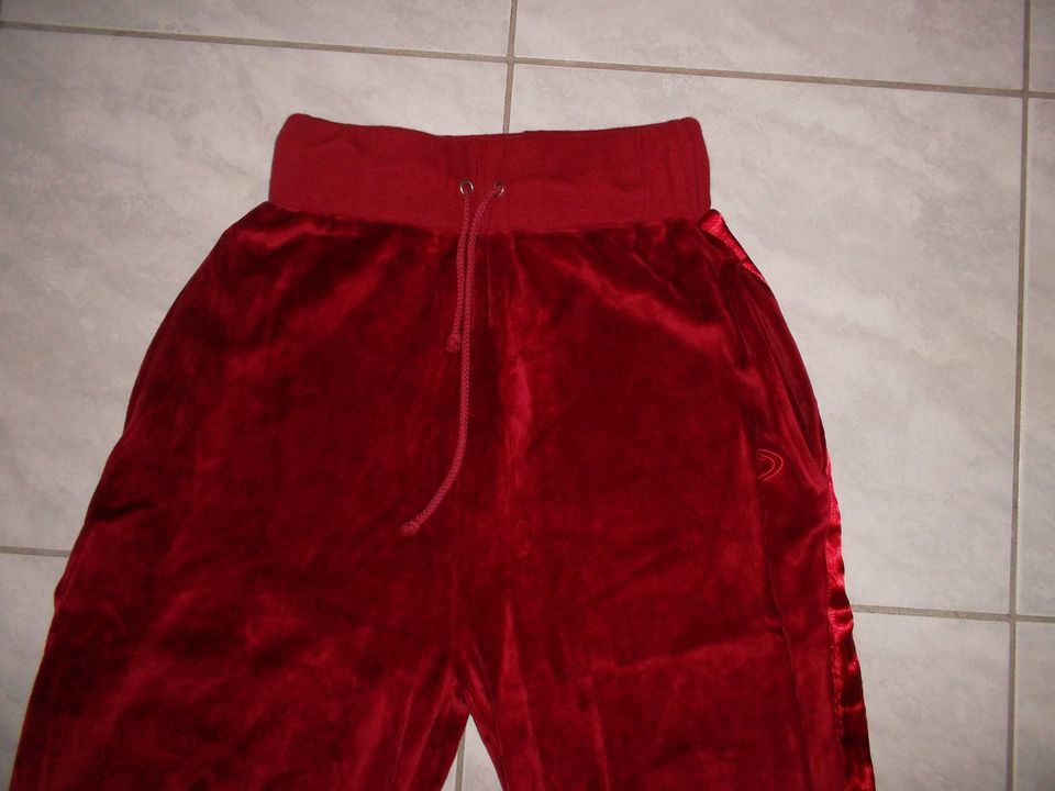 Samt caprihose von QLS Gr.34/36 NEU in Celle