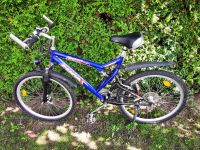 Fahrräder /Mountainbikes 26“   2 Stück Niedersachsen - Celle Vorschau