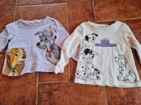 Set Langarmshirts Mädchen H&M Disney Sachsen - Bahretal Vorschau