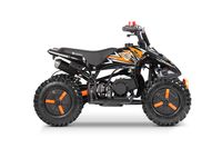 Kinder quad 49cc mini Kinder Quad Python Snowy-Profile L Sport 6 Nordrhein-Westfalen - Gelsenkirchen Vorschau