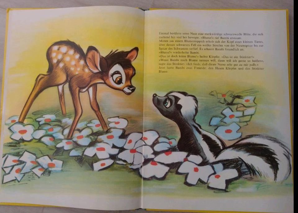 Bambi Walt Disney Delphin Verlag 12. Auflage 1971 in Obernburg