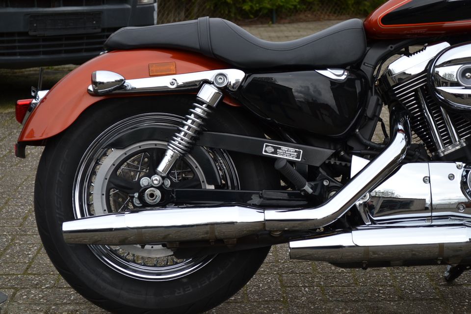 Harley Davidson Sportster XL1200C Custom in Papenburg