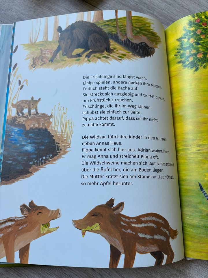 Kinderbuch: Wild sein wie Wildschwein: Eine Katzengeschichte in Lemgo
