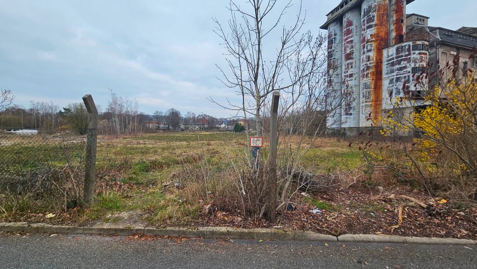 Baugrundstück in Bad Lausick "Etzoldshainer Weg" vom Eigentümer in Bad Lausick