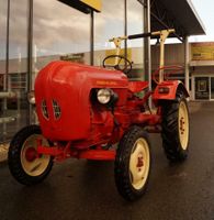 Porsche-Diesel Junior 108, Traktor, Rot, Oldtimer Nordrhein-Westfalen - Gevelsberg Vorschau