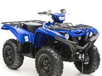 Suche Yamaha Grizzly Kodiak Brui 350 450 550 660 700 Scheunenfund Hessen - Dipperz Vorschau