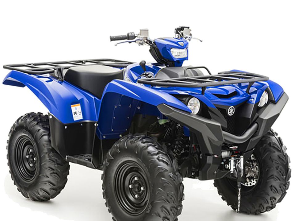 Suche Yamaha Grizzly Kodiak Brui 350 450 550 660 700 Scheunenfund in Dipperz