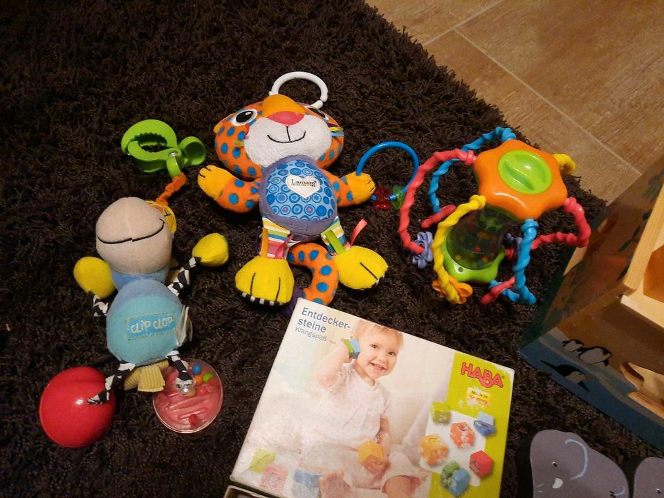 6 verschiedenes Baby bzw Kleinkind Spielzeug in Bruckberg bei Landshut