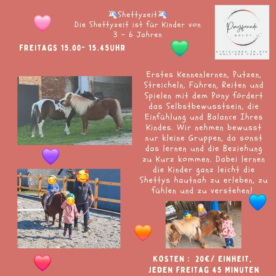 Ponyreiten/  Reitunterricht für Kinder 3 - 6 Jahre in Schöppenstedt