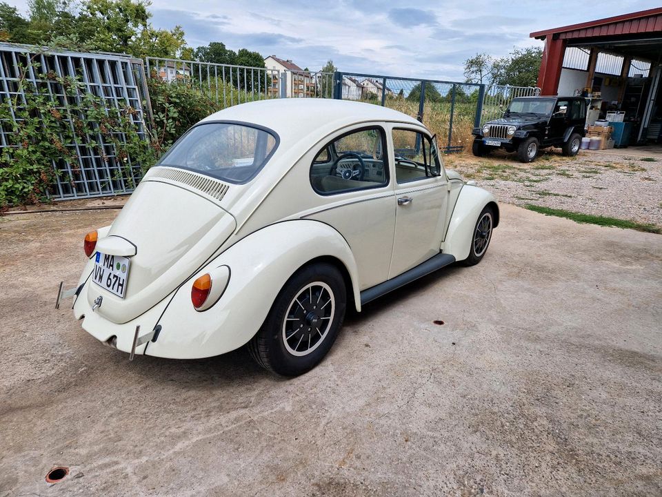 67er VW Käfer in Mannheim