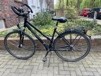 Fahrrad Raleight / Cityrad 28 Zoll Kreis Pinneberg - Kölln-Reisiek Vorschau