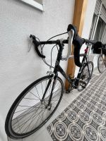 TREK Rennrad Alpha SL Aluminum 1000 T Rheinland-Pfalz - Haßloch Vorschau