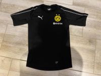 Borussia Dortmund Aufwärmshirt größe S Nordrhein-Westfalen - Voerde (Niederrhein) Vorschau