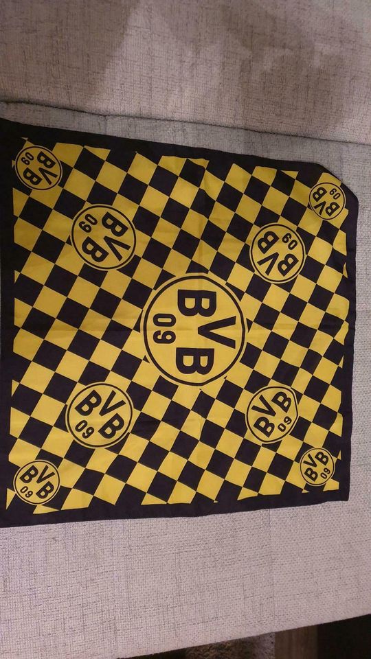 6 Borussia Dortmund Shirts in Arberg