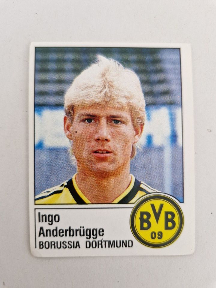 Panini - Ingo Anderbrügge - Borussia Dortmund 1987 - ungeklebt in Tübingen