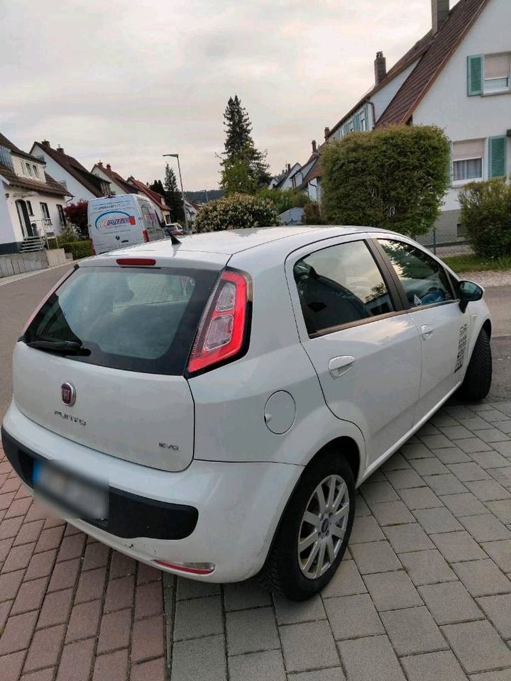 Fiat Punto Evo | Touch-Radio | Rückfahrkamera | LED | Armlehne in Spaichingen
