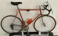 Vicini Rennrad in Orange metallic Niedersachsen - Melle Vorschau