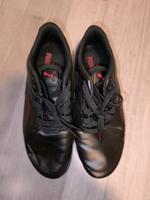 Puma Schuhe Damen Thüringen - Kindelbrück Vorschau