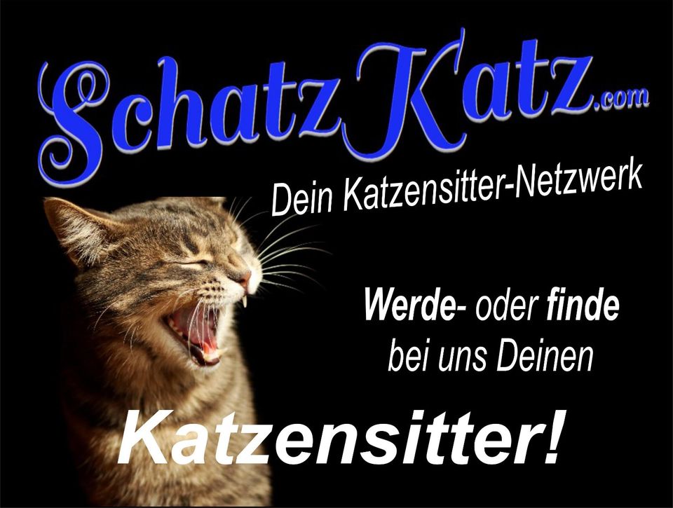 Bad Kreuznach: Werde doch Katzensitter im Nebenjob! in Bad Kreuznach