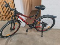 Bulls Racer Mountainbike 29 Zoll Nürnberg (Mittelfr) - Südstadt Vorschau