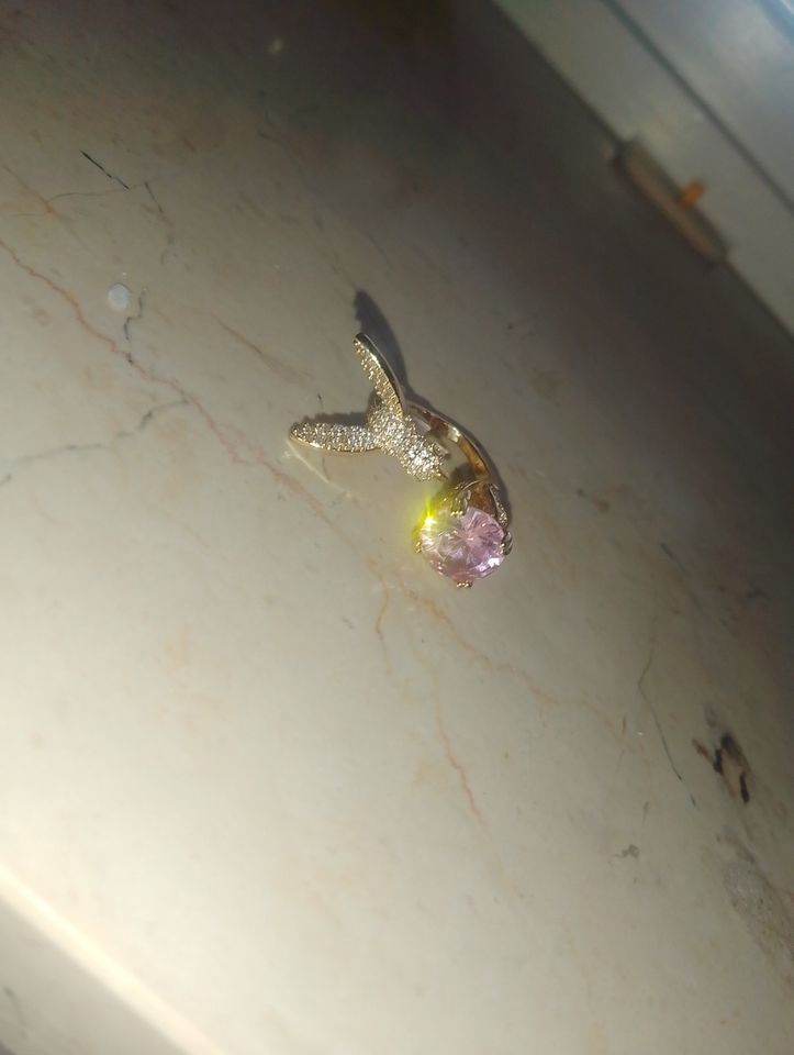 Kolibri Ring Größe 17 Gold in Lahr (Schwarzwald)
