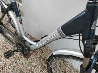 Bergamont Fahrrad mit tiefem Einstieg, 28 Zoll Dresden - Neustadt Vorschau