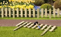 Steckzaun mit Spitze zum Einschlagen 100x25/50 cm Friesenzaun Holzzaun Lattenzaun Vorgartenzaun Gartenzaun Senkrechtzaun Sonderposten 3190345 Westerwaldkreis - Hahn am See Vorschau