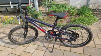 20" Kinder-Fahrrad Raymon Lila Dresden - Pieschen Vorschau