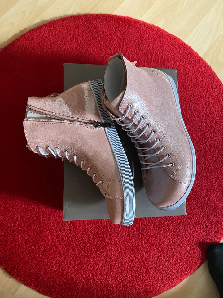 Andrea Conti High Sneaker  - Neu - Original verpackt - Gr.  37 in Langgöns