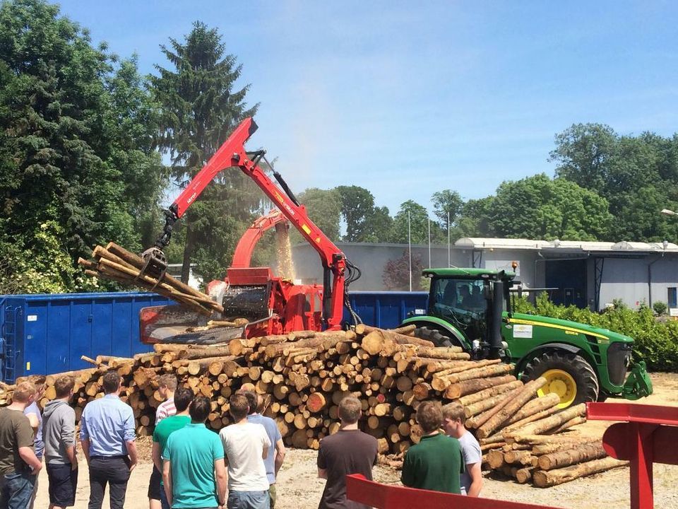 Holzhacken, Holzhäckseln, Forstarbeiten, Sturmschaden beseitigen in Rietberg