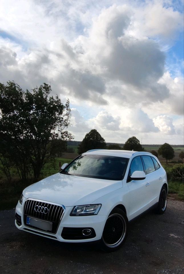 Audi Q5 2.0 TDI Clean Diesel 150 PS in Schöningen