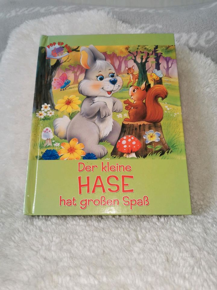 Der kleine Hase hat großen Spaß Pop up Buch in Radeburg