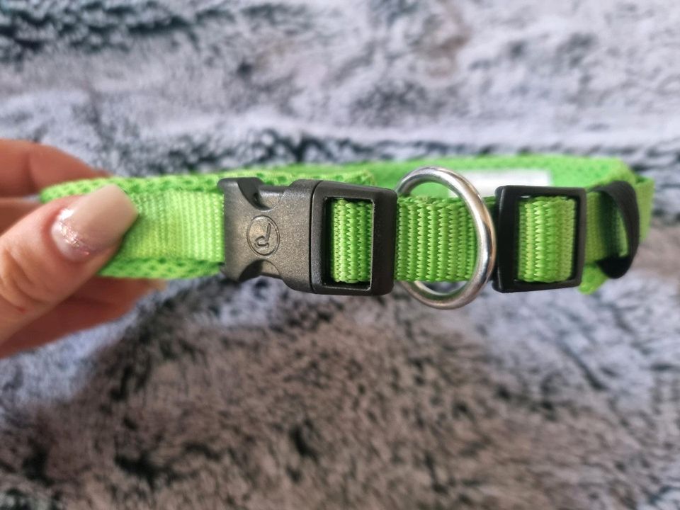 Halsband grün neongrün S in Grassau