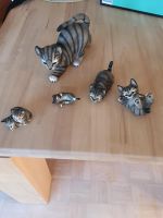 Katzenfiguren Sammlung Niedersachsen - Harpstedt Vorschau