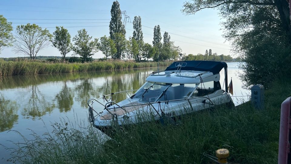 Aquador 22C mit Yamaha F250 inkl. Trailer in Neustadt an der Weinstraße