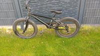 Fahrrad BMX 20 Zoll Nordrhein-Westfalen - Ennigerloh Vorschau