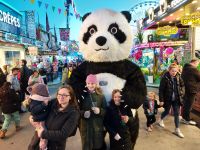 Neu Bruno Panda Bär absoluter Hingucker Bielefeld - Schildesche Vorschau