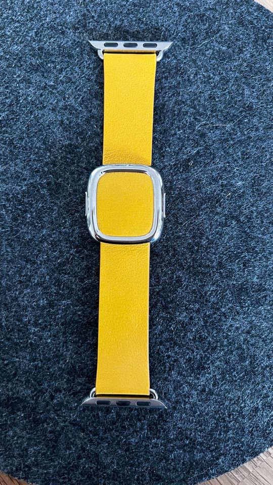 Apple Modern Buckle Apple Watch Armband in Lutherstadt Wittenberg