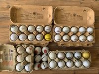Konvolut Golfbälle 44 Stück versch. Hersteller Marken Sammlung Nordrhein-Westfalen - Remscheid Vorschau