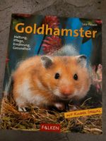 Buch Goldhamster Nordrhein-Westfalen - Marl Vorschau