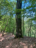 Bewegung - Unterstützung - Alltagshilfe Nordrhein-Westfalen - Sprockhövel Vorschau