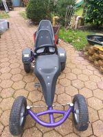 Big Gokart ( 2 Sitzer) lila Niedersachsen - Hatten Vorschau