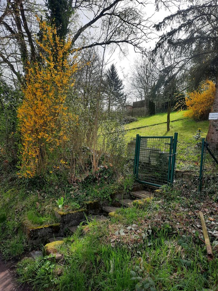 Verkaufen Gartengrundstück in Stuttgart-Rohracker in Stuttgart