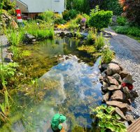 Gartenhelfer in einem Hausgarten gesucht. Essen - Rellinghausen Vorschau