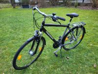 Pegasus Herren Fahrrad 28 Zoll RH54cm Guter Zustand siehe Bilder Niedersachsen - Bad Bevensen Vorschau