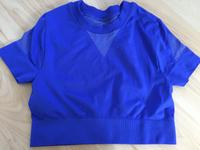 IVY Park Seamless Top, S/M, royalblau,1 x getragen Brandenburg - Leegebruch Vorschau